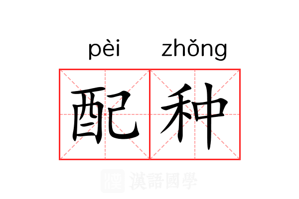 配种
