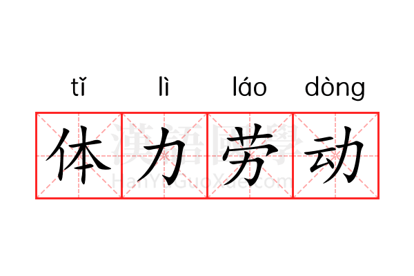 体力劳动 体力劳动