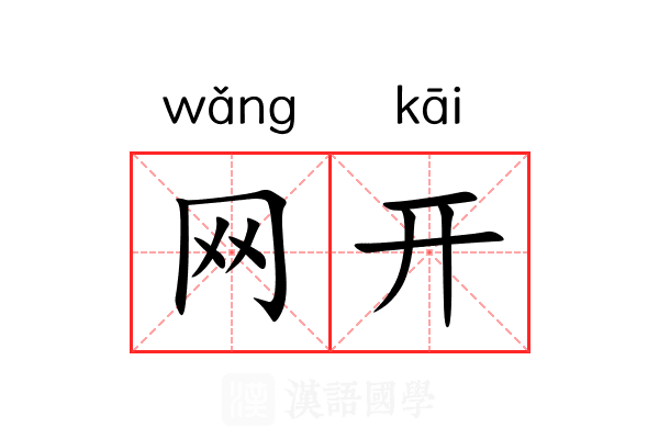 网开 网开
