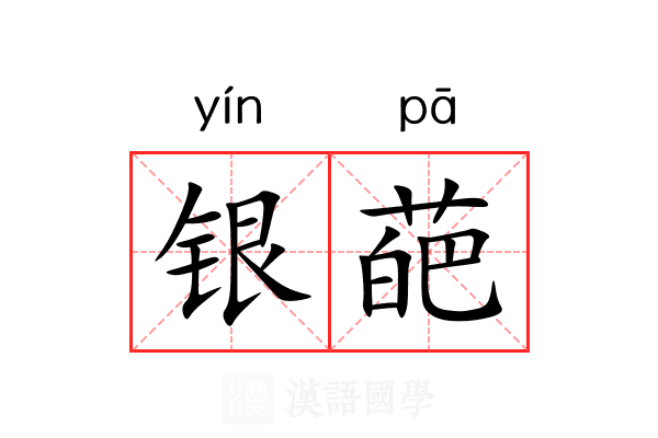 银葩 银葩