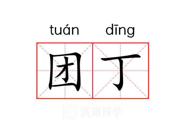 团丁 团丁