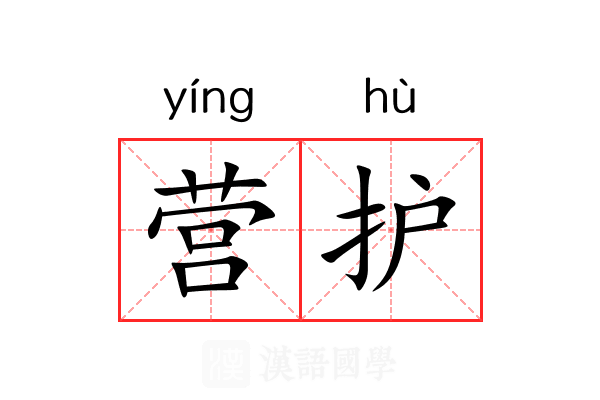 营护 营护