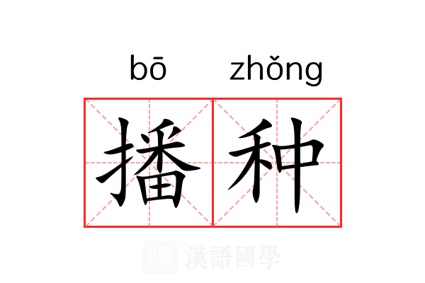 播种