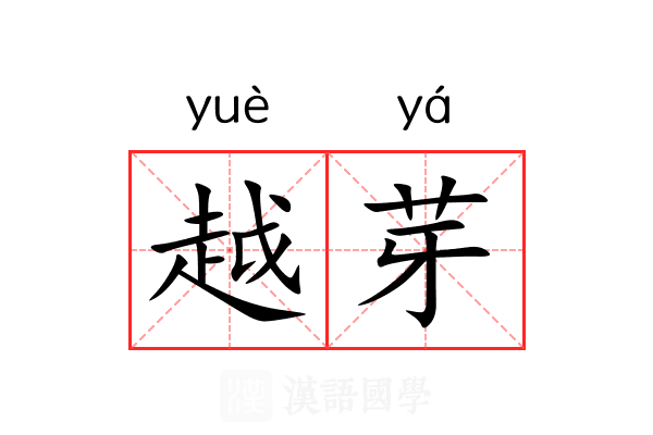 越芽 越芽