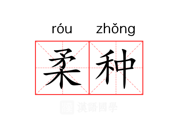 柔种 柔种