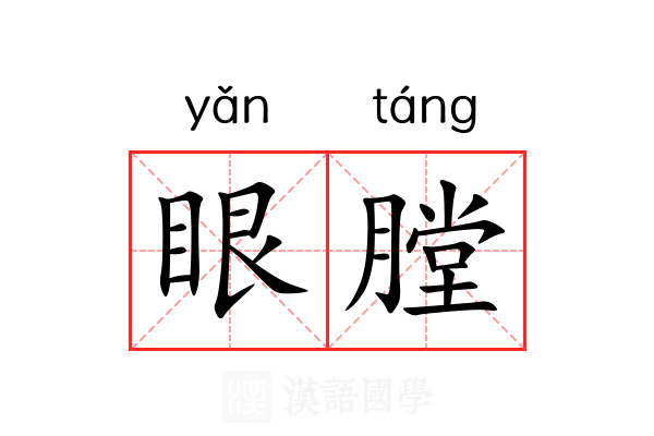 眼膛 眼膛