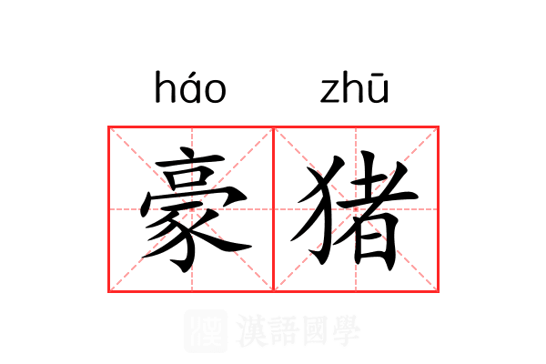 豪猪