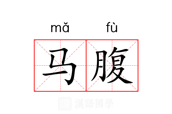 马腹 马腹