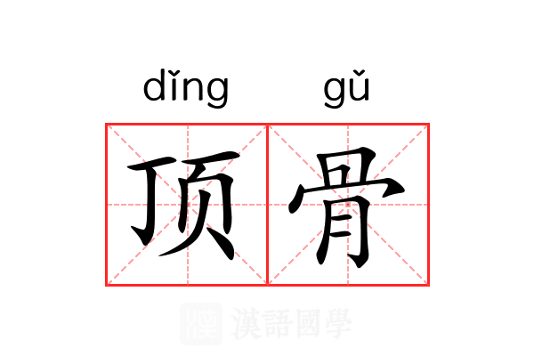 顶骨 顶骨