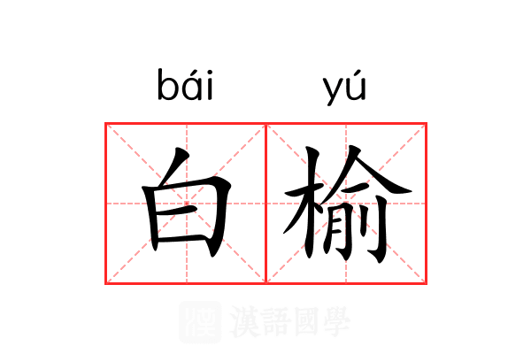 白榆 白榆