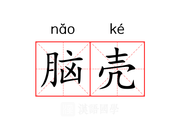 脑壳