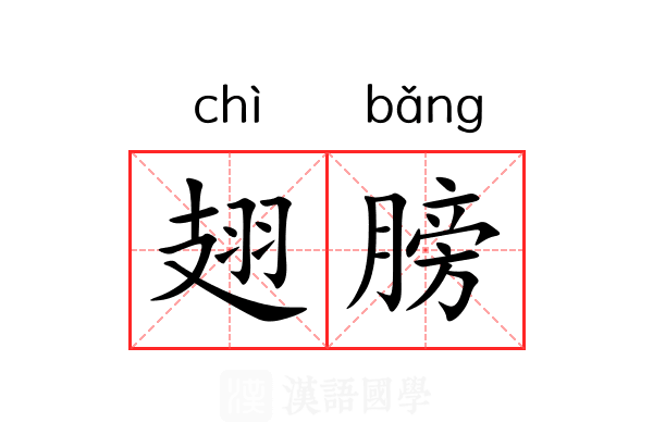 翅膀