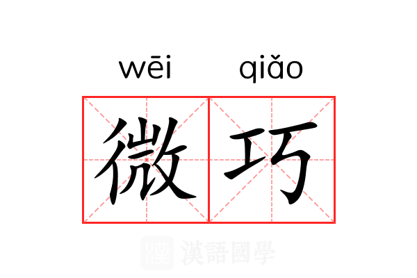 微巧 微巧