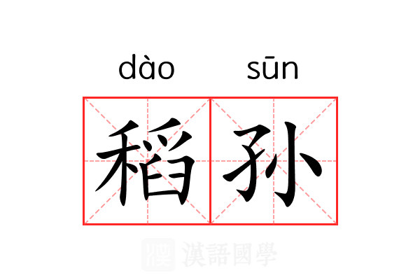 稻孙 稻孙