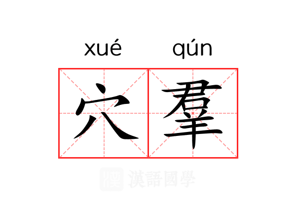 穴羣 穴羣