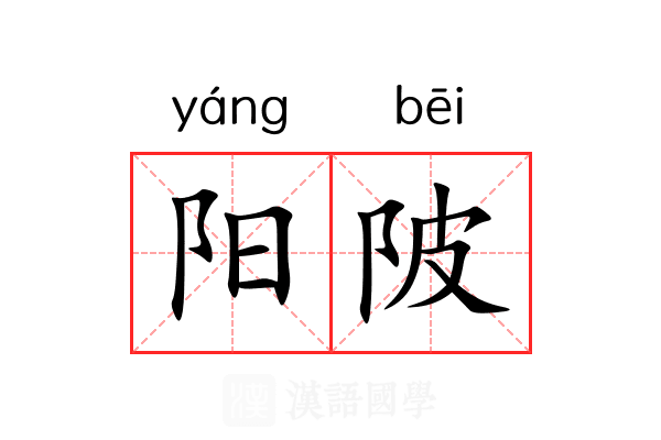 阳陂