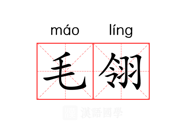 毛翎 毛翎