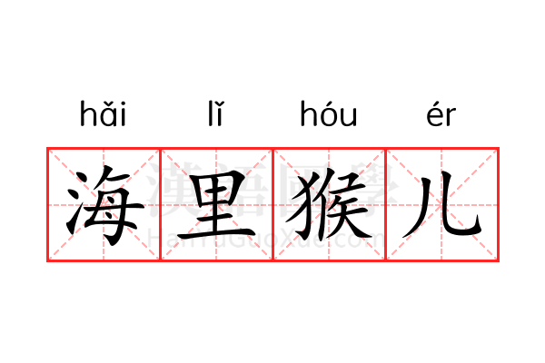 海里猴儿 海里猴儿