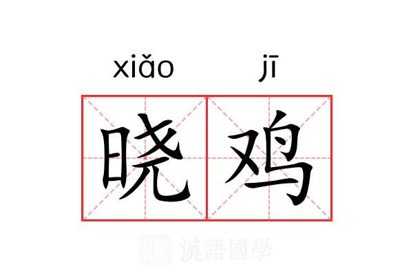 晓鸡