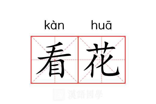 看花 看花