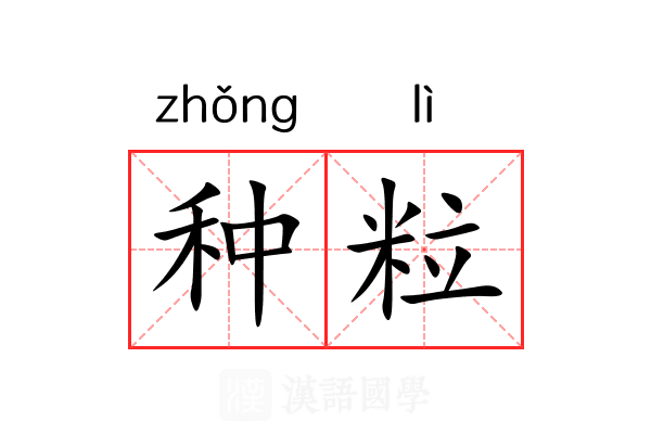 种粒 种粒