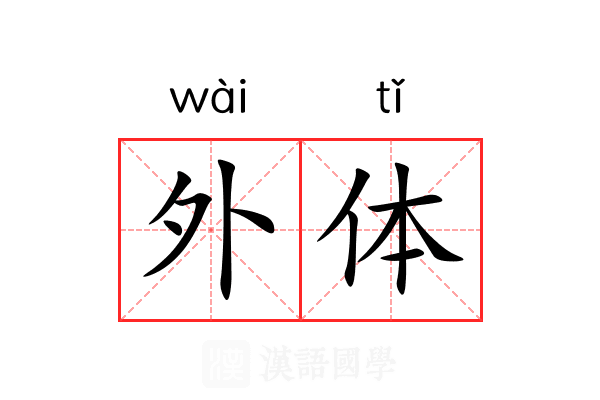 外体 外体