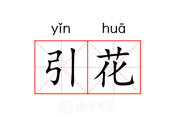 引花 引花