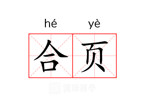 合页