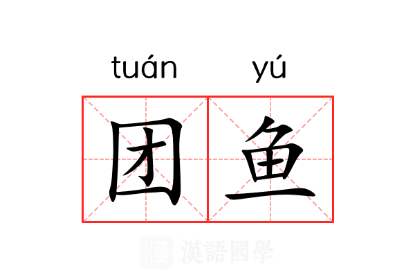 团鱼 团鱼