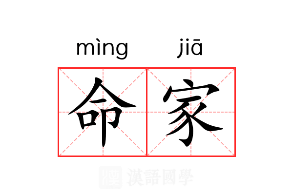 命家 命家