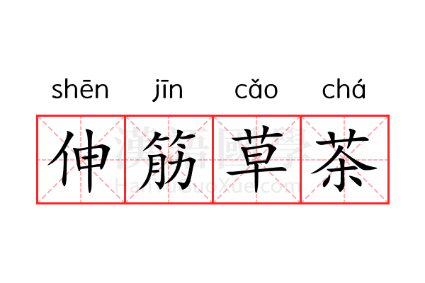 伸筋草茶 伸筋草茶