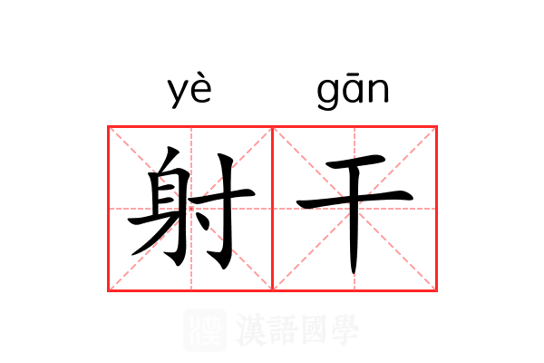 射干 射干