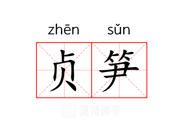 贞笋