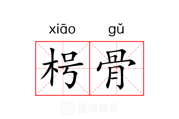 枵骨 枵骨