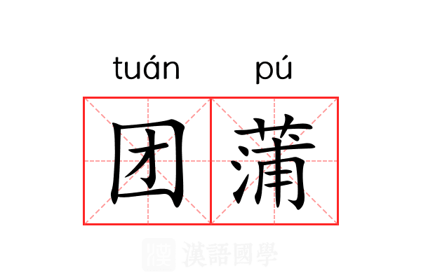 团蒲 团蒲