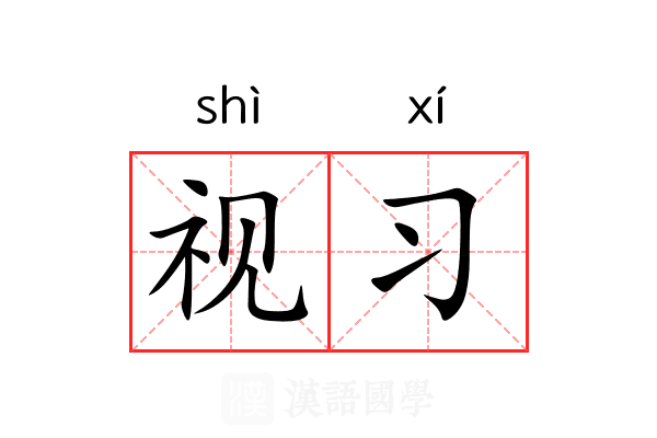 视习 视习