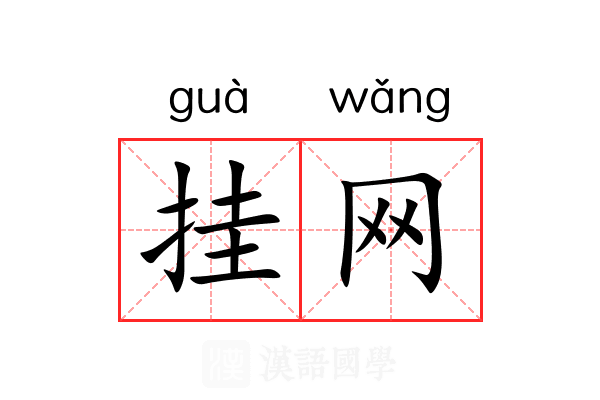 挂网