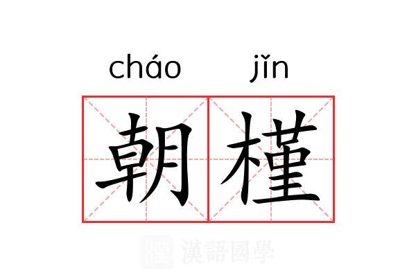 朝槿 朝槿
