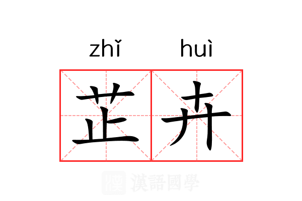 芷卉