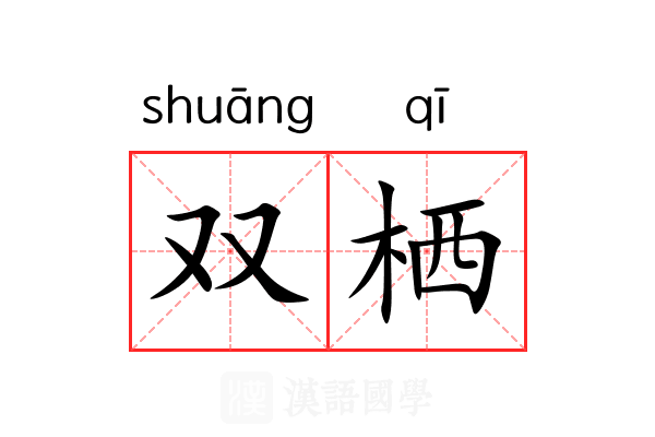 双栖