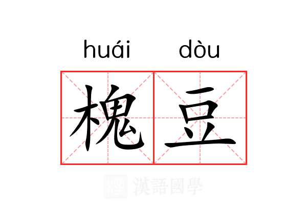 槐豆