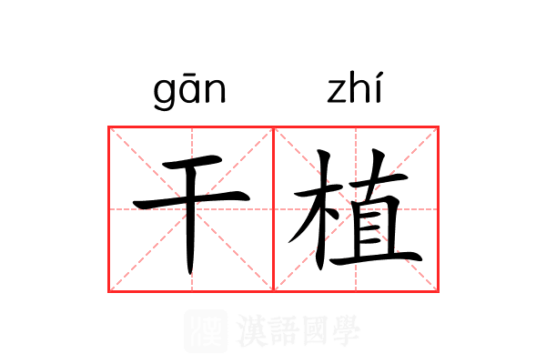 干植 干植
