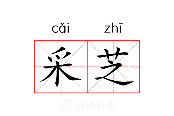采芝