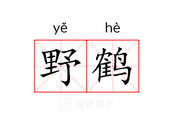 野鹤
