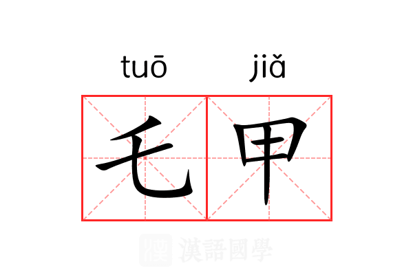 乇甲 乇甲