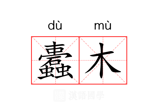 蠹木