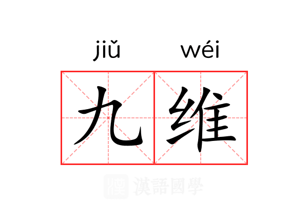 九维 九维
