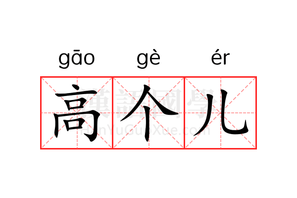 高个儿 高个儿