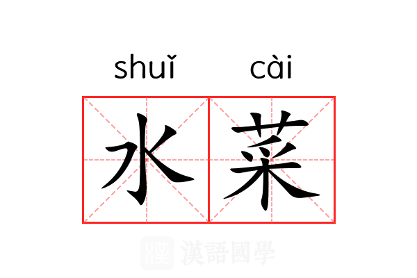 水菜 水菜