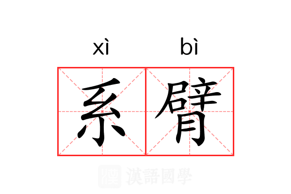 系臂